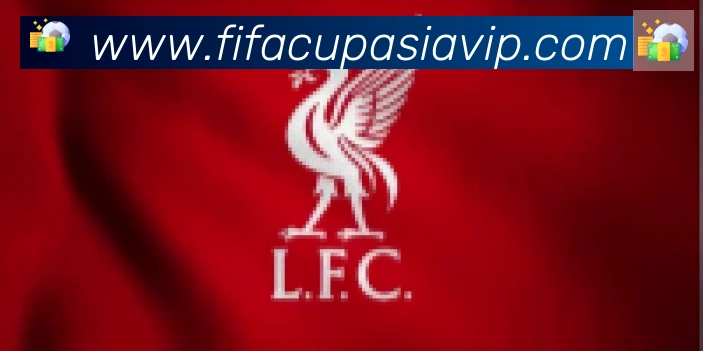 FIFA世界杯比分官方网站合作伙伴