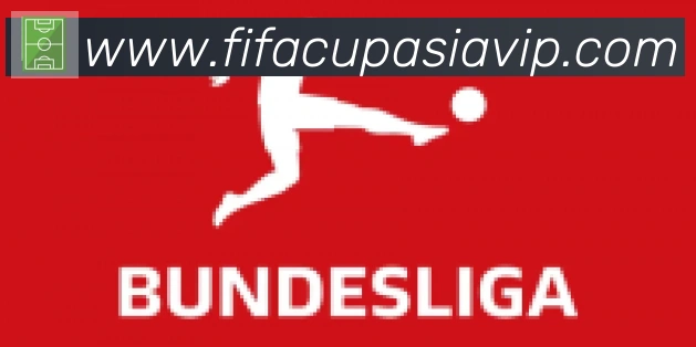FIFA世界杯比分官方网站合作伙伴
